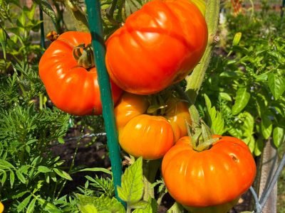 00D29F5B-DD1E-4626-8B2D-4C69DD482463 (2)