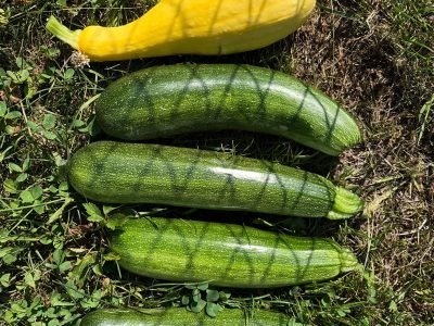 DCD01CF5-27A3-4ADF-9977-1608EB1DD6D9 (2)