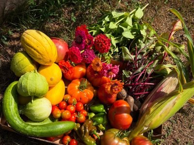 FE4DC334-AAAA-46E0-8E5F-649BF8C6BAD3 (2)